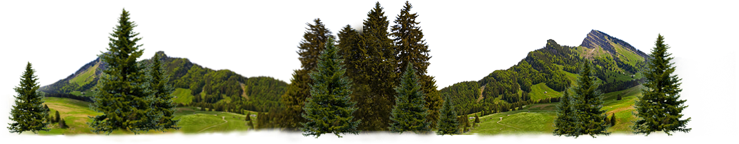 footer_wald